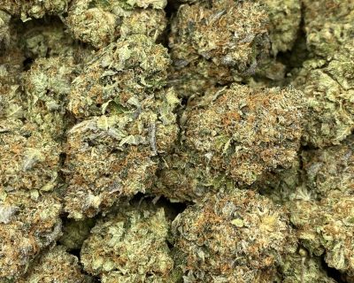 DEATH JEFE (GAS) - Image 6